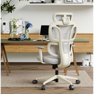 Produktbild für Bürostuhl FlexiSpot BS5WG