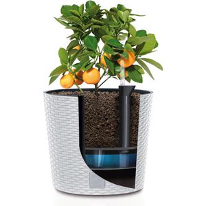 Produktbild für Übertopf Prosperplast Rato Round, weiß, Ø 20 x 19 cm