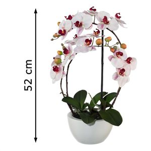 Produktbild für Kunstblume Creativ-green Orchidee, Phalaenopsis