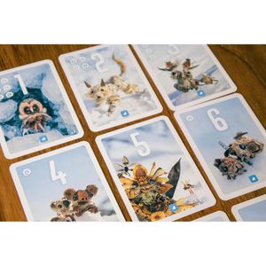 Produktbild für Kartenspiel Pegasus-Spiele 18520G, Pixies