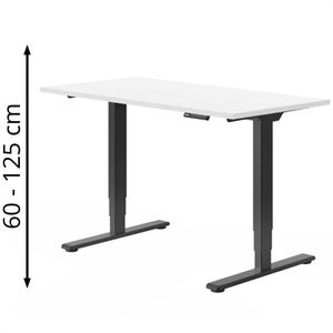 Produktbild für Schreibtisch FlexiSpot E5B, weiß / schwarz