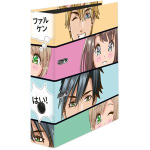 Ordner Falken 21002192, Karton, A4