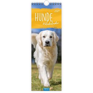 Produktbild für Streifenkalender Trötsch 2027805, Hunde