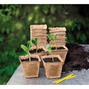Produktbild für Anzuchttöpfe Romberg 10091105, 22 Stück