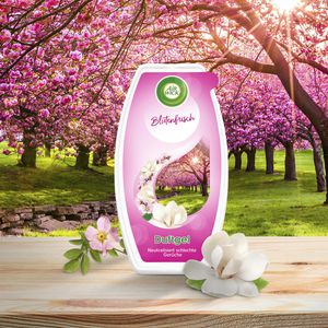 Produktbild für Raumduft Airwick Duftgel, 150 g