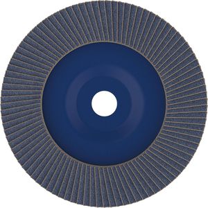 Produktbild für Fächerschleifscheibe Bosch PRO X571