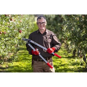 Produktbild für Astschere FELCO 221-70