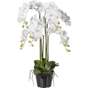 Kunstblume Creativ-green Orchidee, Phalaenopsis