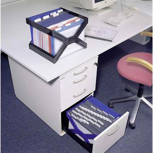 Produktbild für Hängeregister-Box Durable 2611-01, Carry Plus, A4