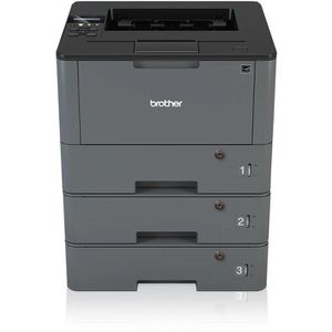 Laserdrucker Brother HL-L5100DNTT abschließbar s/w