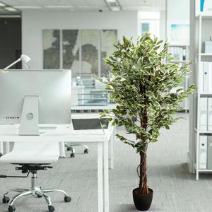 Produktbild für Kunstpflanze hJh-OFFICE Ficus