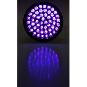 Produktbild für UV-Taschenlampe ChiliTec 22947, mit LED, 14,5 cm