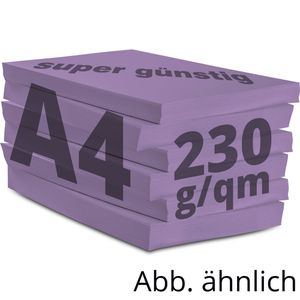 Produktbild für Kopierpapier Papyrus Rainbow 88376518
