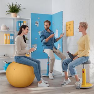 Produktbild für Sitzball Leitz Ergo Cosy Active, belastbar bis 100 kg