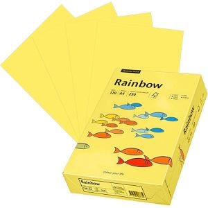 Produktbild für Kopierpapier Papyrus Rainbow 88042348