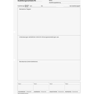 Produktbild für Ausbildungsnachweis Brunnen 10-42579, A4