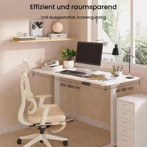Produktbild für Schreibtisch FlexiSpot E1W Pro, weiß / weiß
