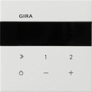 Produktbild für Radio Gira IP 2320112 Internetradio