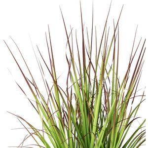 Produktbild für Kunstpflanze Creativ-green Blutgras