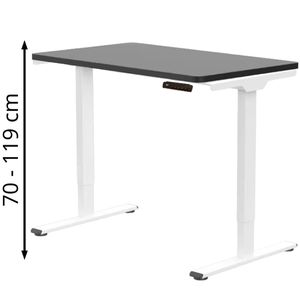 Produktbild für Schreibtisch FlexiSpot E1W Pro, schwarz / weiß
