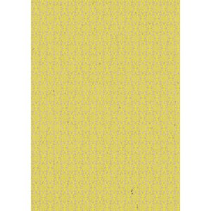 Produktbild für Geschenkpapier Clairefontaine 223813C, Neon