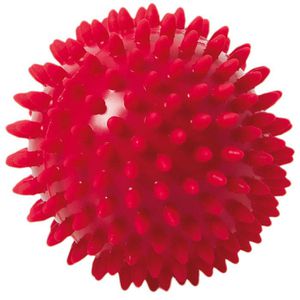 Produktbild für Igelball Togu Noppenball Set