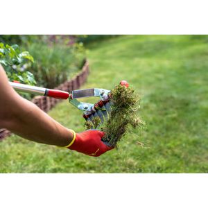 Produktbild für Vertikutierer Wolf-Garten UG-M 3