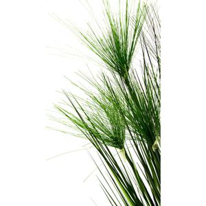 Produktbild für Kunstpflanze I.GE.A. Zyperngras