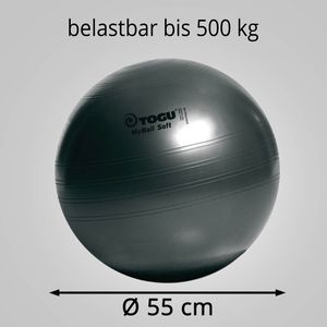 Produktbild für Gymnastikball Togu MyBall Soft