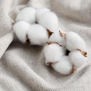 Produktbild für Duftkerzen Blomus Fraga, L, French Cotton
