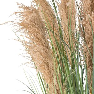 Produktbild für Kunstpflanze Creativ-green Natur-Schilfgras