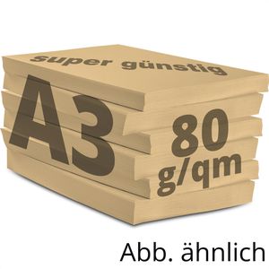 Produktbild für Kopierpapier Papyrus Rainbow 88042500