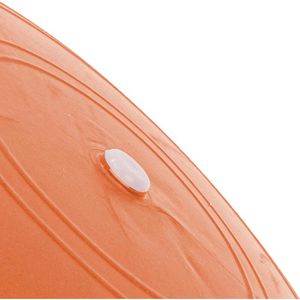 Produktbild für Gymnastikball Togu Powerball ABS