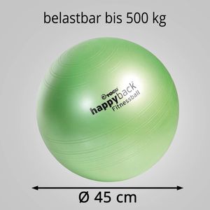 Produktbild für Gymnastikball Togu happyback Fitnessball