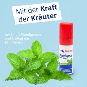 Produktbild für Mundspray One-Drop-Only cool &amp; fresh