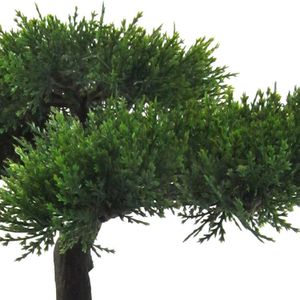Produktbild für Kunstpflanze Creativ-green Bonsai Zeder