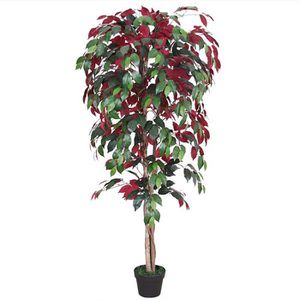 Produktbild für Kunstpflanze Decovego Roter Ficus Benjamin