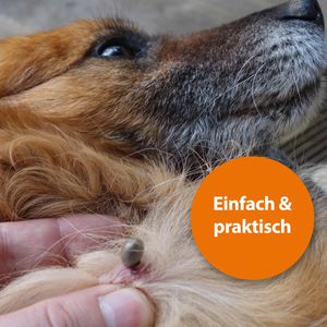 Produktbild für Zeckenhaken ARDAP 3er Set