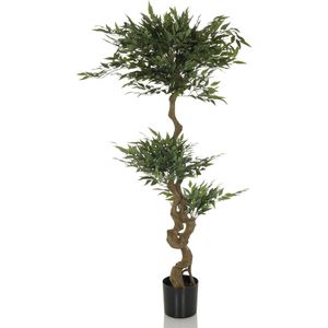 Kunstpflanze hJh-OFFICE Acacia