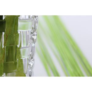 Produktbild für Vase Nachtmann 82088 Bossa Nova, Kristallglas