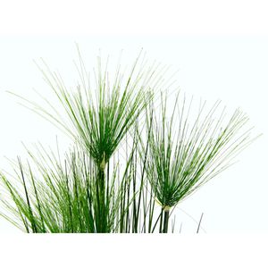 Produktbild für Kunstpflanze I.GE.A. Zyperngras