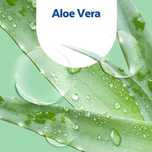 Produktbild für Seife Sagrotan No-Touch Aloe Vera