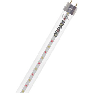 Pflanzenlampe OSRAM LED TUBE T8 FLUORA, mit LED