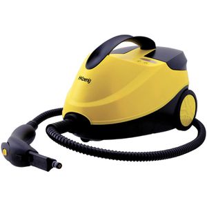 Dampfreiniger