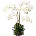 30 Creativ-green Kunstblume Ovalvase, – silberner Böttcher in Orchidee, AG weiß, cm Höhe Phalaenopsis,