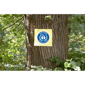 Produktbild für Haftnotizen Info Nature Notes, 5654-11box, gelb