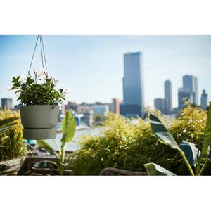 Produktbild für Blumenampel elho Greenville laubgrün