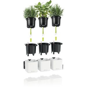 Produktbild für Übertopf Lechuza Green Wall Home Kit, weiß matt, 14x14x14cm