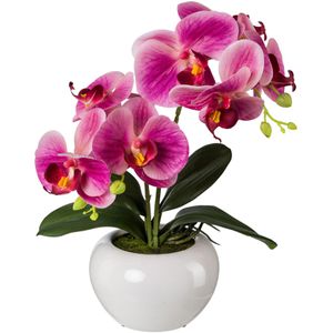 Kunstblume Creativ-green Orchidee, Phalaenopsis