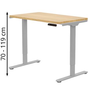 Produktbild für Schreibtisch FlexiSpot E1S Pro, ahorn / grau